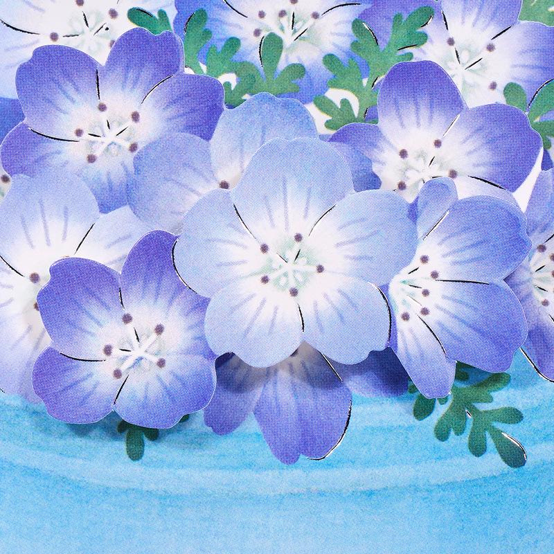 初夏カード ネモフィラ JES 3-6 830348 サンリオ グリーティングカード 季節 手紙 お便り 梅雨 立体 立てて飾れる ギフト インテリア 飾り 花 枯れない お見舞い |  | 02