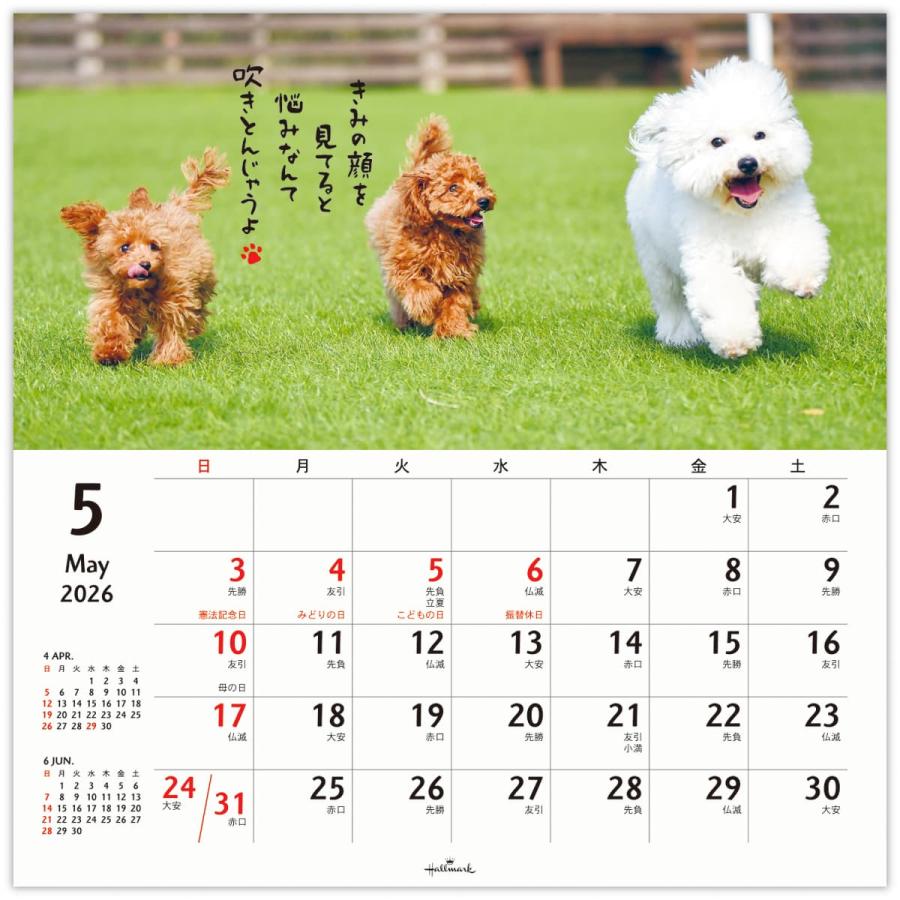 2026年度カレンダー 壁掛け L リングカレンダー大 ほめわんこ 845292