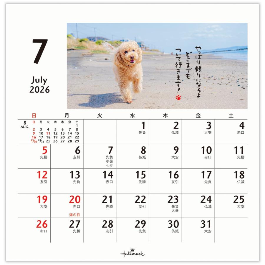 2026年度カレンダー 卓上 ほめわんこ 845544 日本ホールマーク 令和8年
