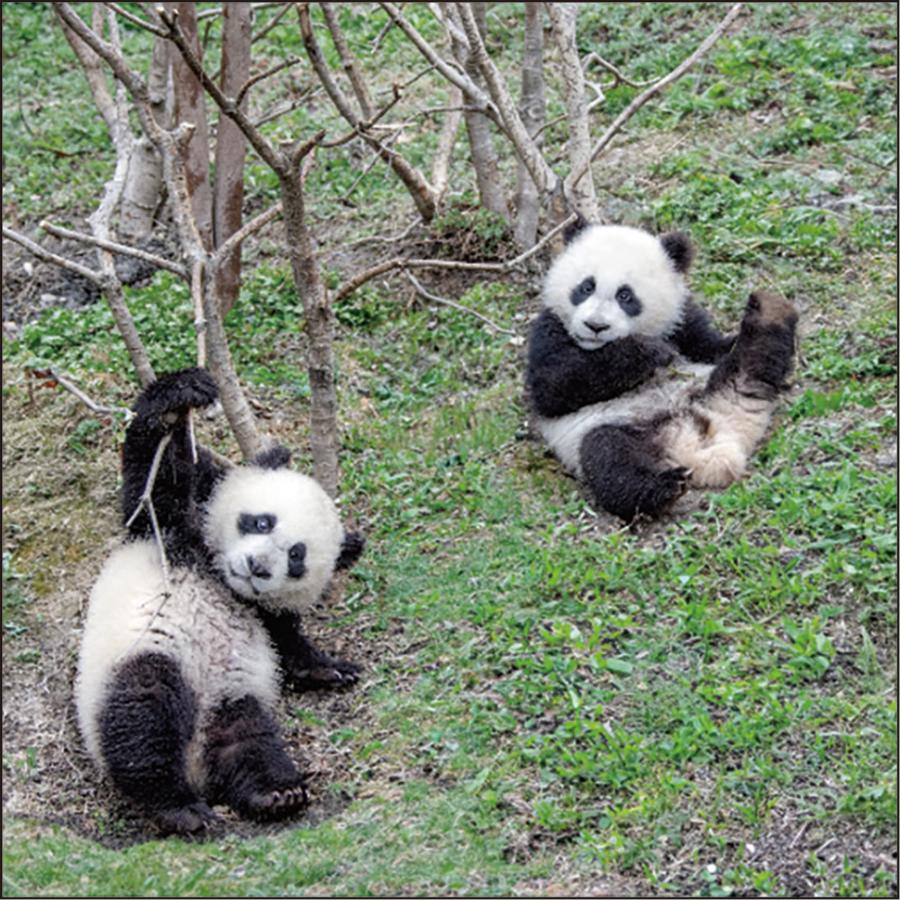 パンダページ J-WAVE : ALL GOOD FRIDAY