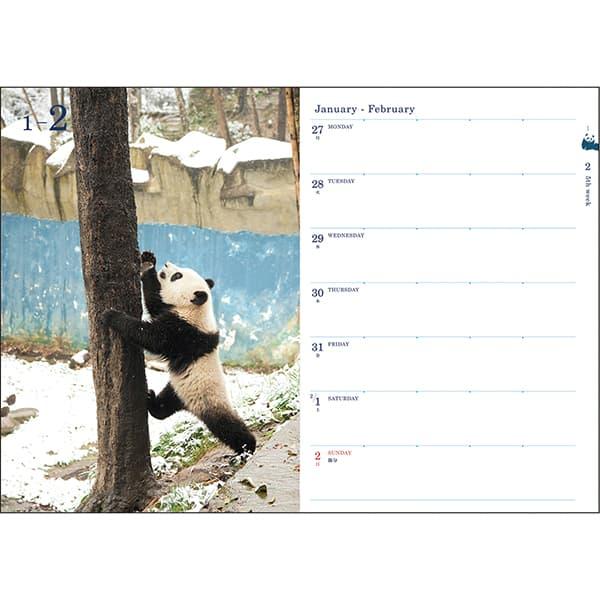 送料無料 2026年度ダイアリー 1月始まり B6ウィークリー パンダ CD
