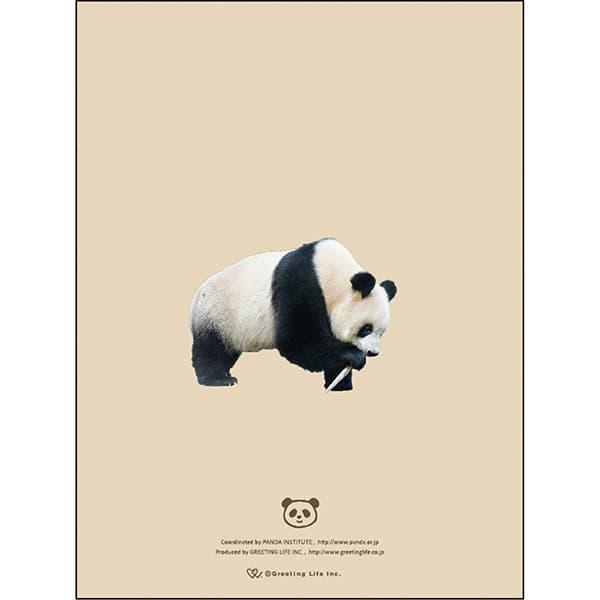 2026年度ダイアリー 1月始まり A6マンスリー パンダ CD-1393-PA