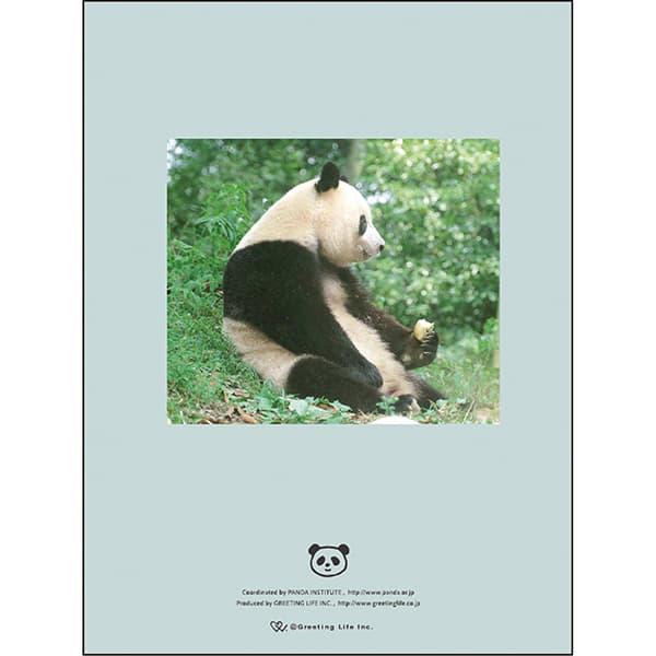 2026年度ダイアリー 1月始まり A6マンスリー パンダ CD-1395-PA