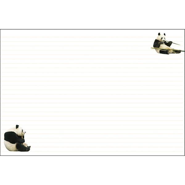 2026年度ダイアリー 1月始まり A6マンスリー パンダ CD-1395-PA