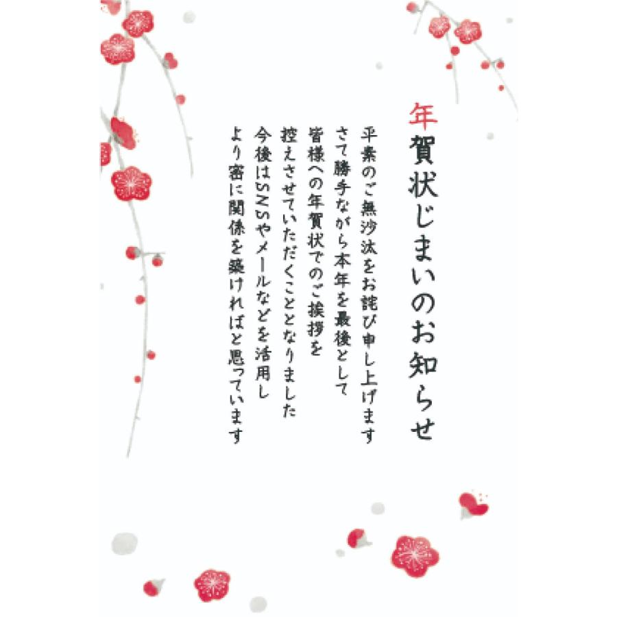 年賀じまいはがき 花ことば 紅梅(3枚入り) FPC-654 フロンティア