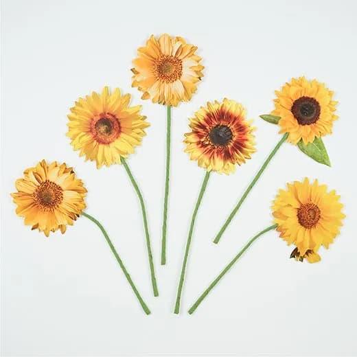 メッセージギフトブーケ ヒマワリ MMBS-468 グリーティングライフ