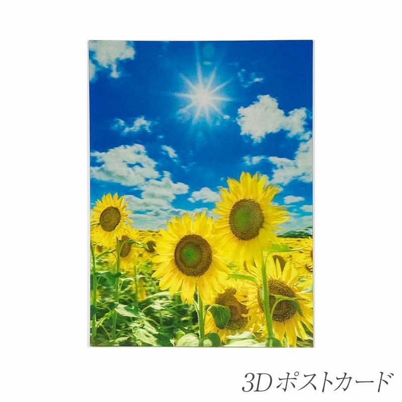 サマーカード サマー3Dポストカード PN1285 イーズプロダクツ EASE