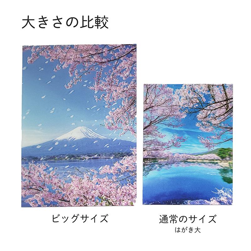 BoA 日本シングル 38枚＋フォトカード付き BoA 日本シングル 38枚＋