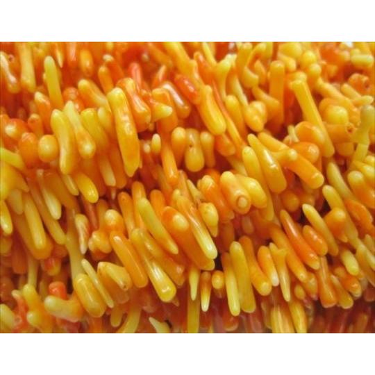 さざれ連売り商品 オレンジコーラル 珊瑚 40cm｜sunflower-shop｜02