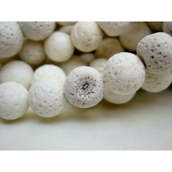 連売り商品 天然ホワイトコーラル 白珊瑚 Φ10-12mm : 天然石のお店Sun