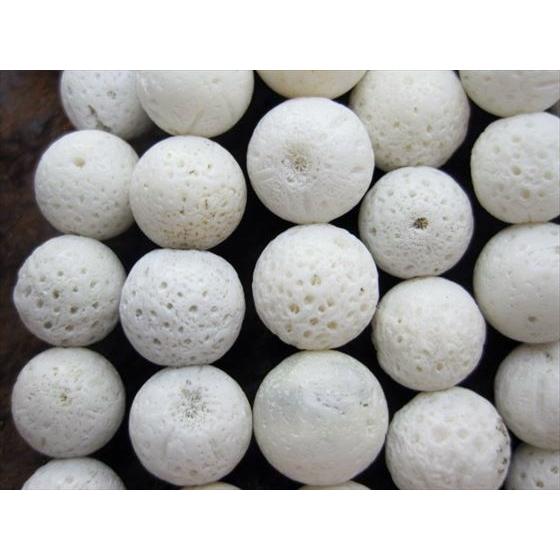 連売り商品 天然ホワイトコーラル 白珊瑚 Φ10-12mm : 天然石のお店Sun