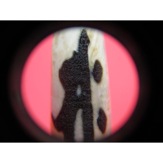 チベット天珠 如意勢至菩薩天珠 サク 天然模様入り 一点物 : 天然石の