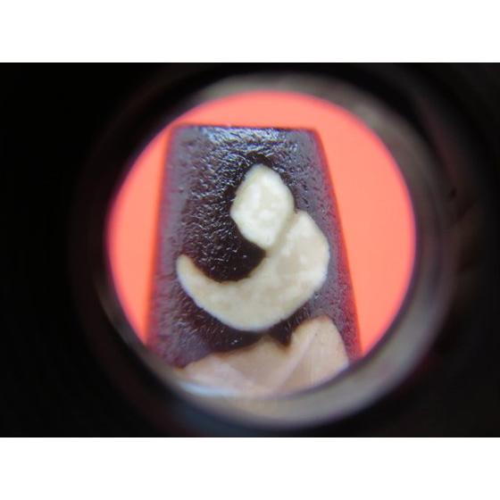 チベット天珠 如意普賢菩薩天珠 アン 約39×14mm 龍鱗加工 一点物