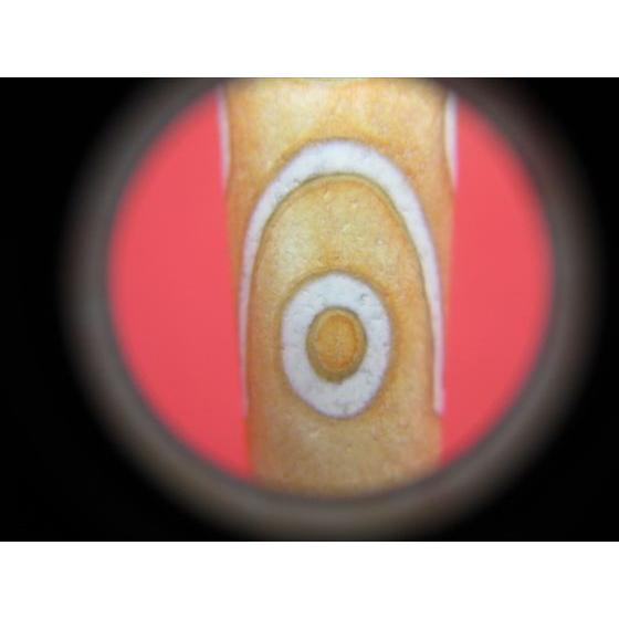 チベット天珠 六眼天珠 約58×13mm 一点物 : 天然石のお店Sun チベット天珠 六眼天珠 約58×13mm 一点物 : 天然石のお店Sun
