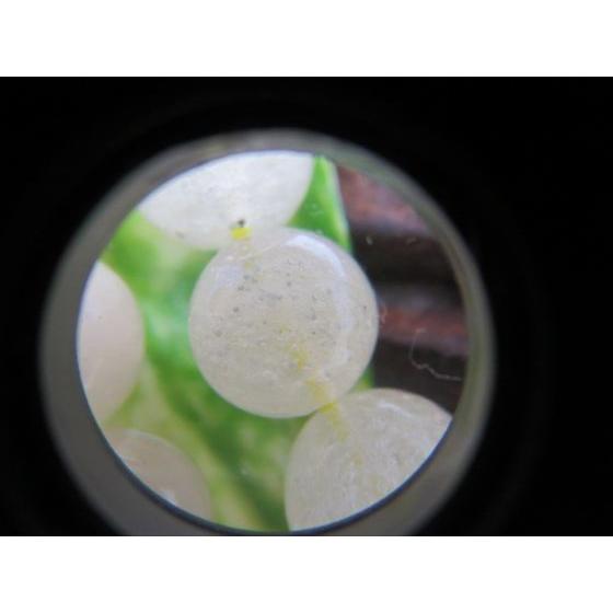 ブレスレット リビアングラス 品質AAA 約22〜25g Φ10±0.3mm 鑑別