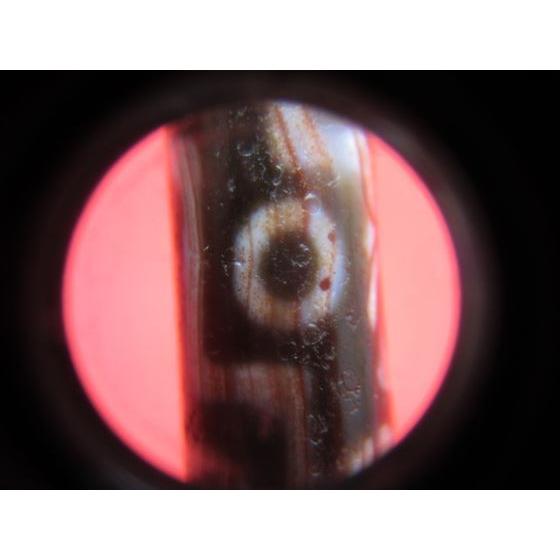 九眼紅朱砂天珠 馬蹄痕 一点物 : 天然石のお店Sun flower - 通販