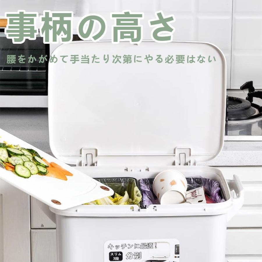ゴミ箱 分別 45リットル袋可 スリム 縦型 2段 フロントオープン 足踏み