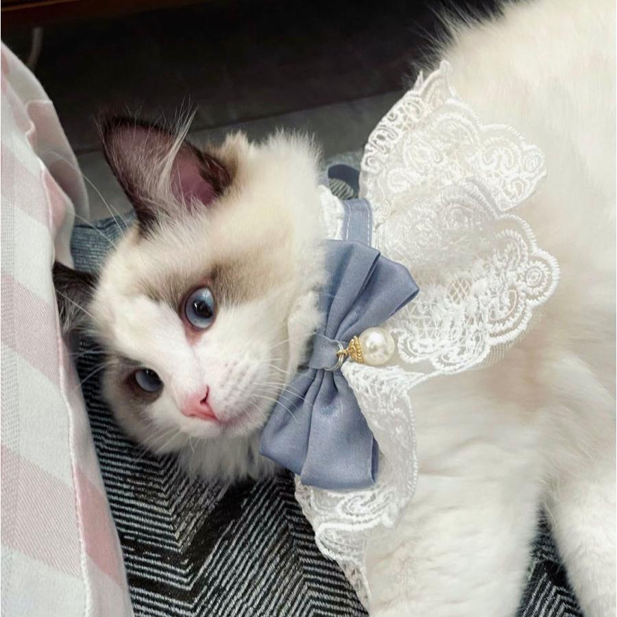 ねこ イヌ ペット 首輪 チョーカー アクセサリー リボン かわいい