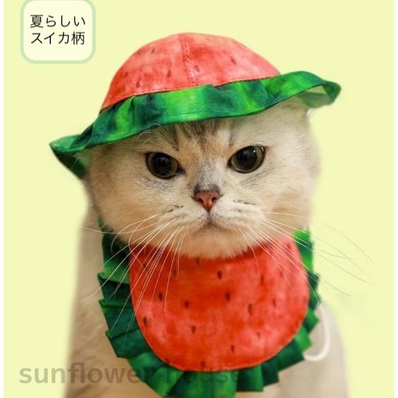羊毛フェルト　猫　スイカ柄ワンピース　サンダル ペット 猫 帽子 よだれかけ スイカ カラフル かわいい 犬 愛犬 小型 夏