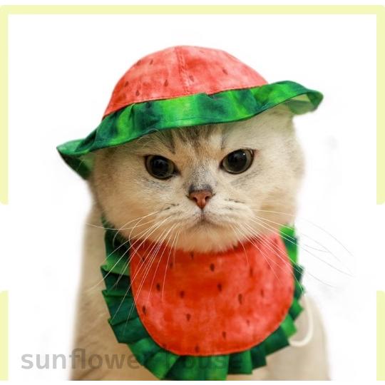 ペット 猫 帽子 よだれかけ スイカ カラフル かわいい 犬 愛犬 小型 夏
