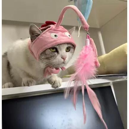 猫 ねこじゃらし ネコ ねこ ペット おもちゃ ひとり遊び ひとり 遊び