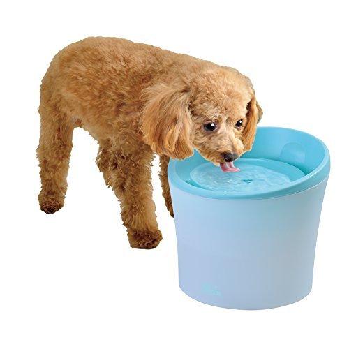 ジェックス ピュアクリスタル ブルーム 2 3l 犬用 正規品質保証