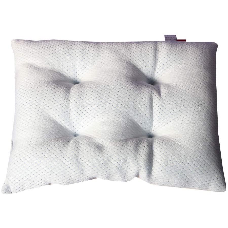 売れ筋 アッピィ 超クール Wラッセル ふわふわクッション Te S 期間限定送料無料 Nourishafastfood Com