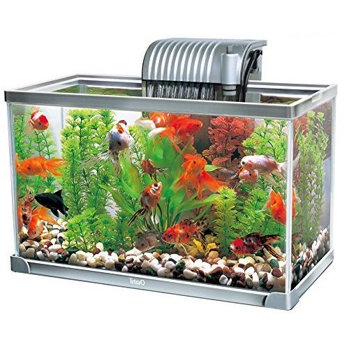 テトラ Tetra アクアリウム水槽セット Ag 42gf Enish E Designweb Jp