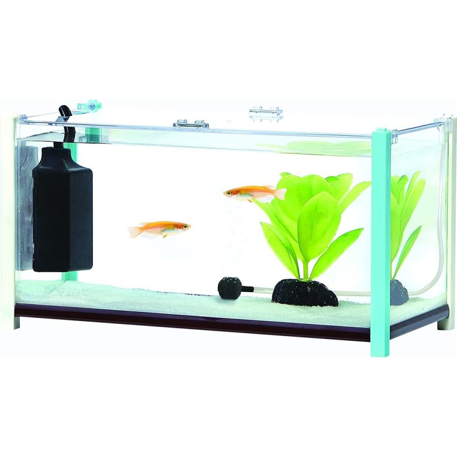 最大96 Offクーポン ジェックス オートヒーターミニ Sh10 コンパクト水槽用観賞魚用ヒーター Shipsctc Org