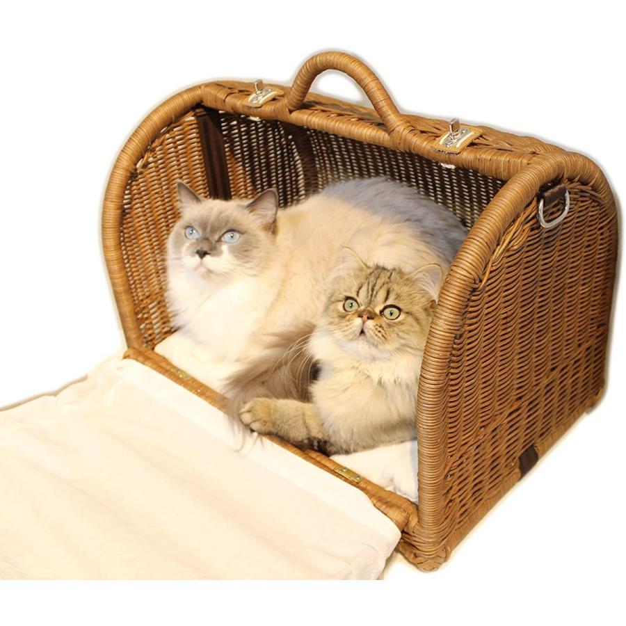 早い者勝ち訳あり！ N4スタイル ラタンキャリーマイン M ブラウン SC-73BW 【Q1756766415】(10799円)