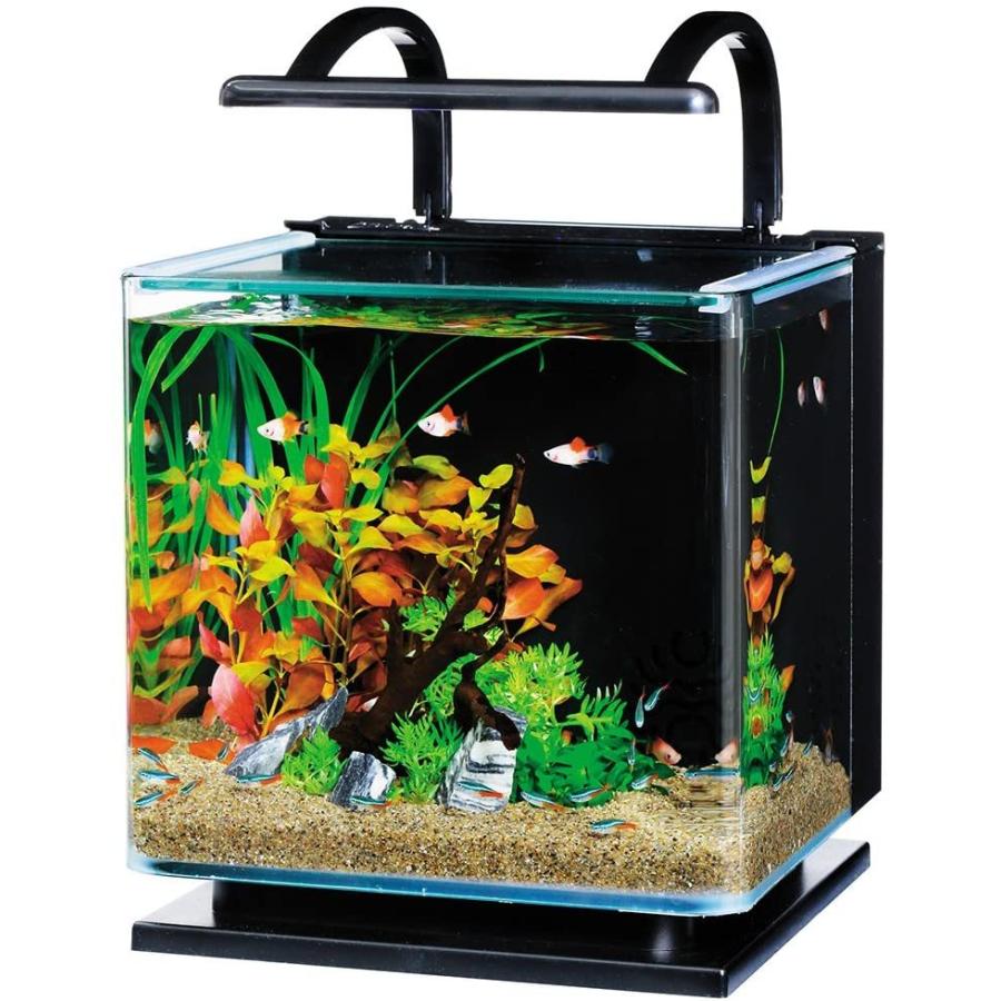 驚きの値段 テトラ Tetra リビングキューブ 12 オールインワン水槽 淡水 海水用 容量 約12l メーカー包装済 Zoetalentsolutions Com