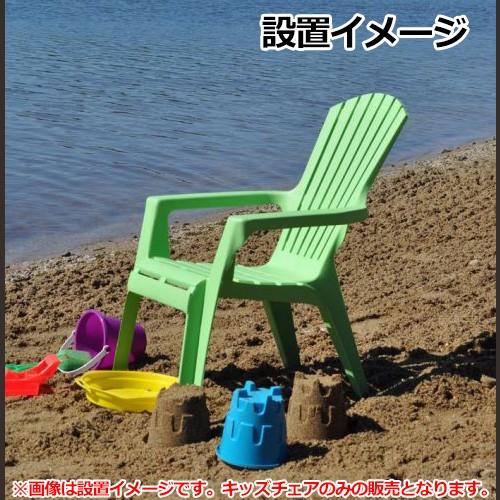 値下げ！アレキサンダーリーチャン カクタスアロハチェア