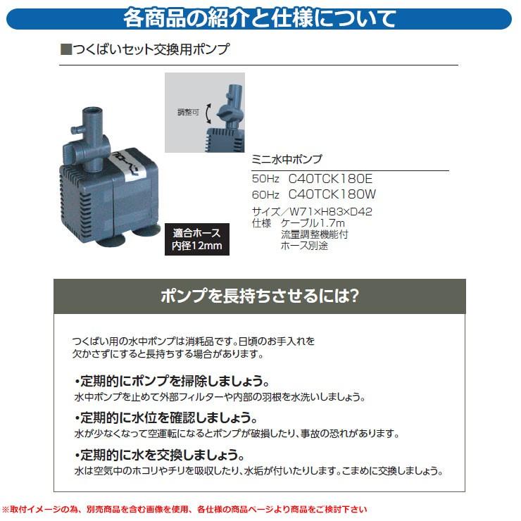 庭 庭園 ミニ水中ポンプ つくばいセット交換用ポンプ60Hz GLOBEN グローベン 日本 伝統 文化 宿泊 施設 飲食店 公共 書室 茶庭 お風呂 つぼ庭の画像