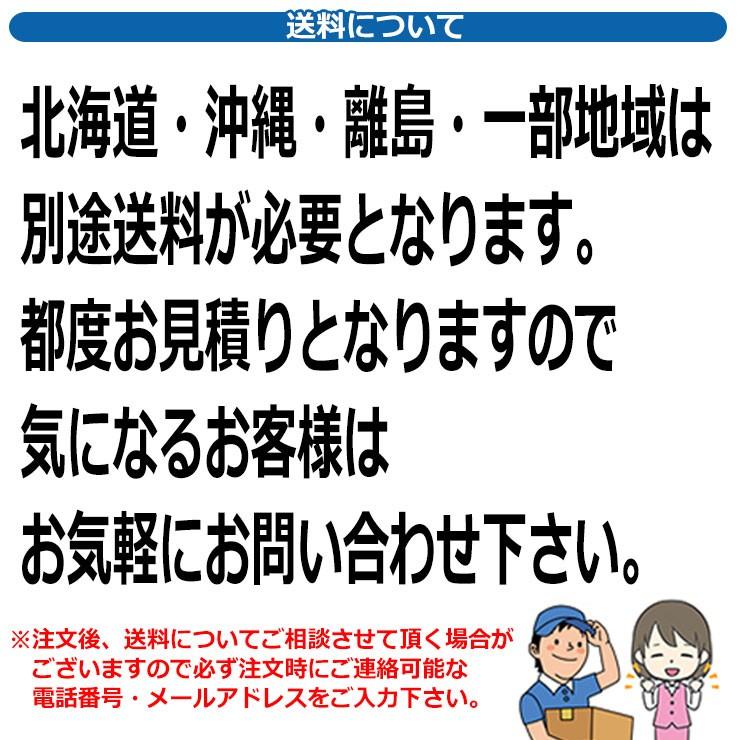 庭 庭園 ミニ水中ポンプ つくばいセット交換用ポンプ60Hz GLOBEN グローベン 日本 伝統 文化 宿泊 施設 飲食店 公共 書室 茶庭 お風呂 つぼ庭の画像
