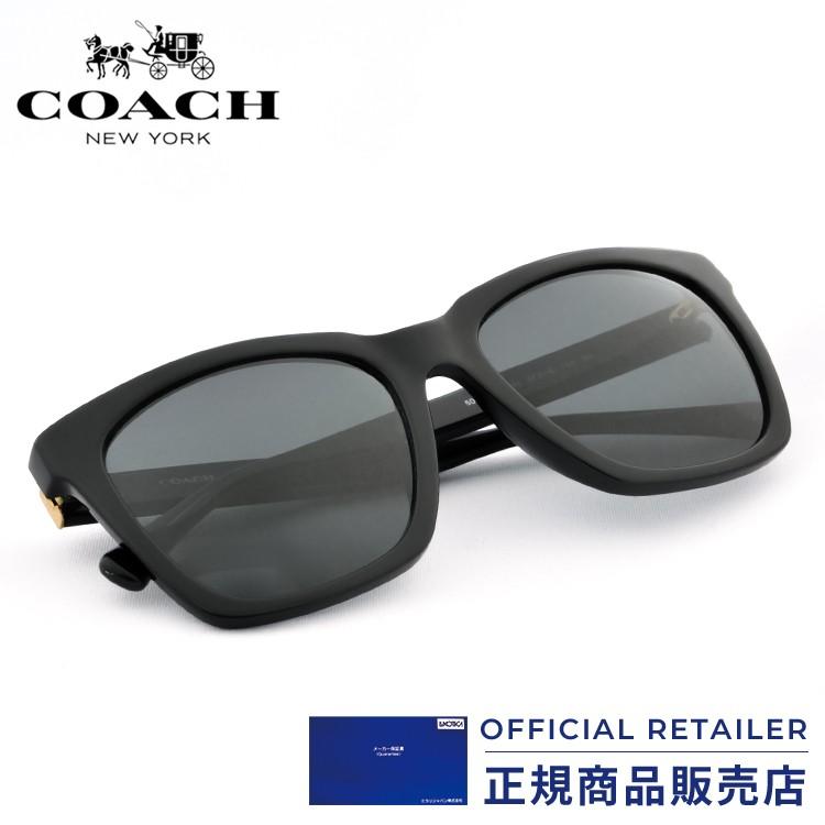 鋼 コンベンション 維持 Coach サングラス メンズ Pervo Jp