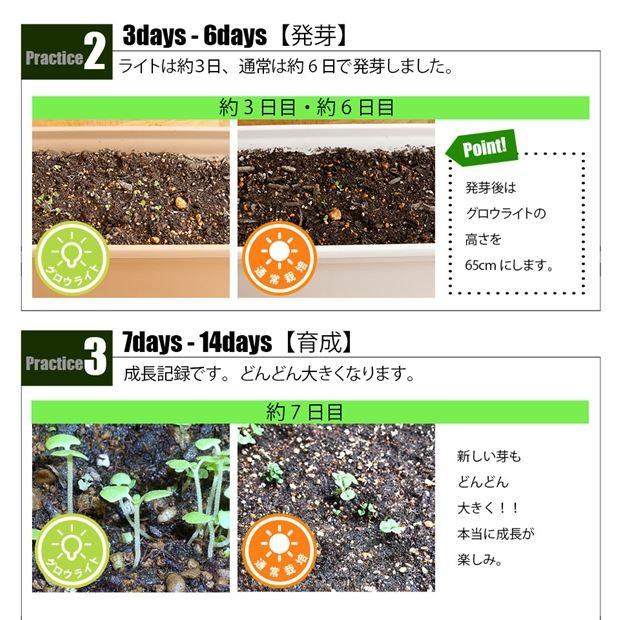 グロウライト 静音ファンレス設計 サムスン製素子使用 110W 栽培面積 90cm×90cm 植物育成ライト 室内栽培 最小空間でも収穫可能 110W