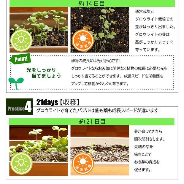 グロウライト 静音ファンレス設計 サムスン製素子使用 110W 栽培面積 90cm×90cm 植物育成ライト 室内栽培 最小空間でも収穫可能 110W