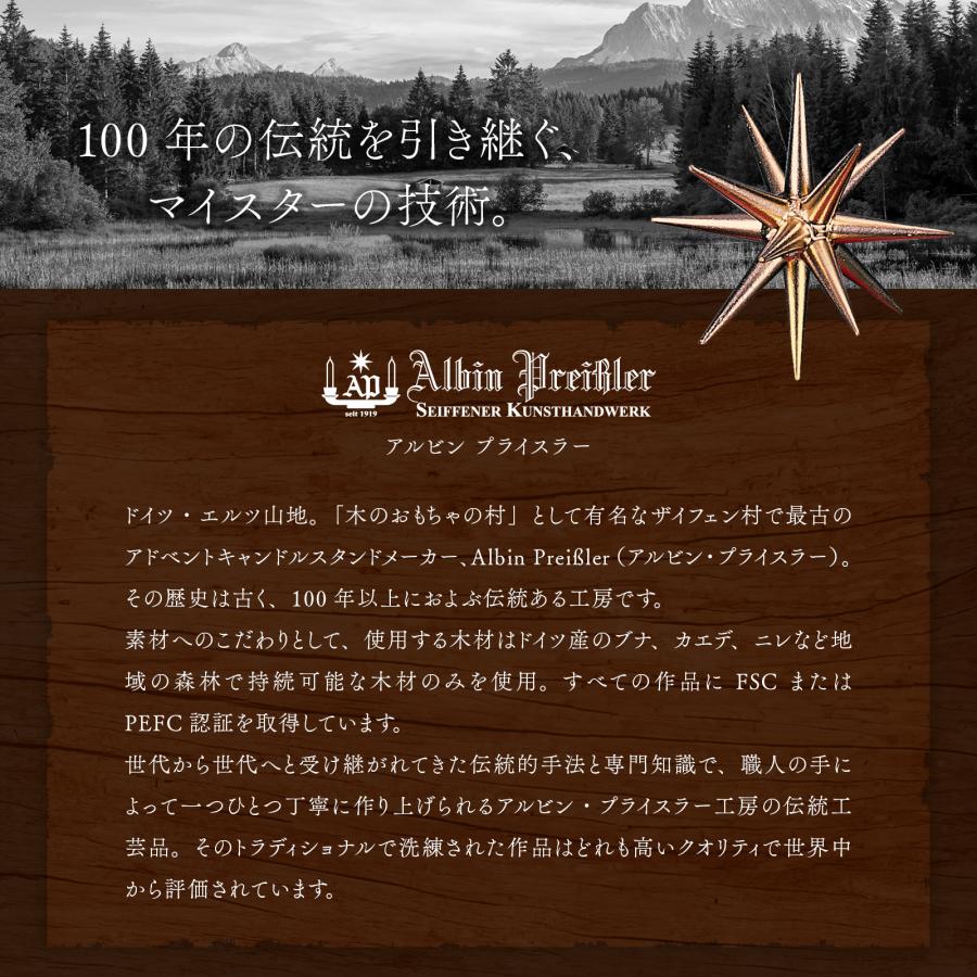 正規取扱店 クリスマスツリー オーナメント ドイツ アルビン・プライス