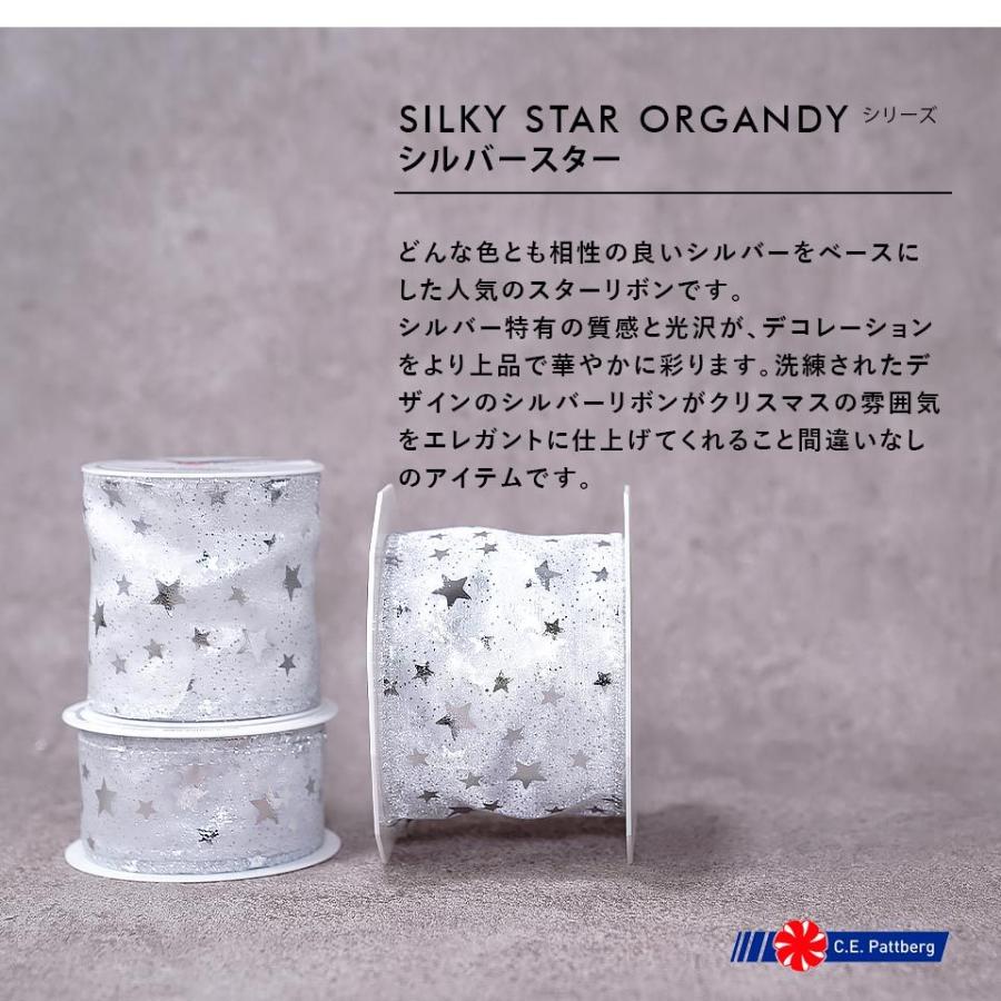 クリスマス リボン シルキー オーガンジー シルバースター ワイヤー 