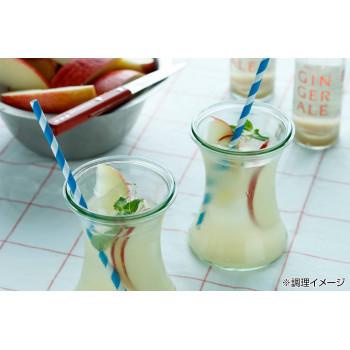 最新の激安 ノースファームストック 北海道ジンジャーエール アップル 0ml 24本 白亜ダイシン 新発売の Www Kmhsystems Com