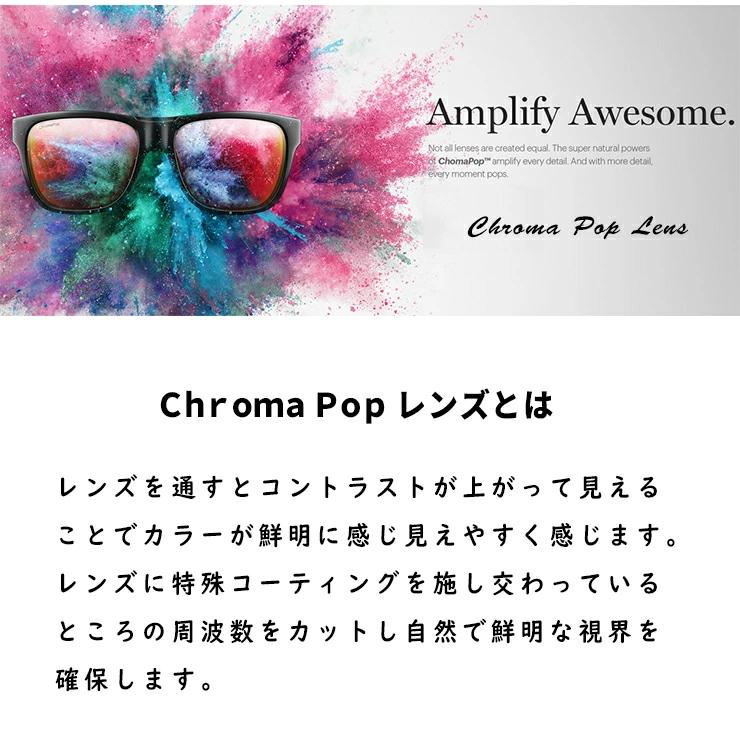 SMITH（スミス） SMITH Lowdown XL2 Matte Tortoise ChromaPop Brown