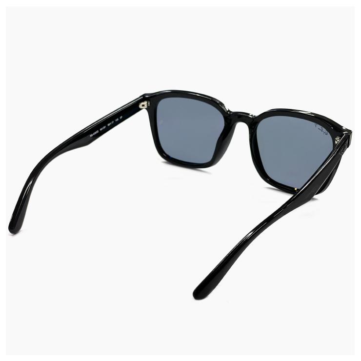 Ray-Ban 大きめ レイバン 偏光 サングラス rb4392d 601/81 66mm