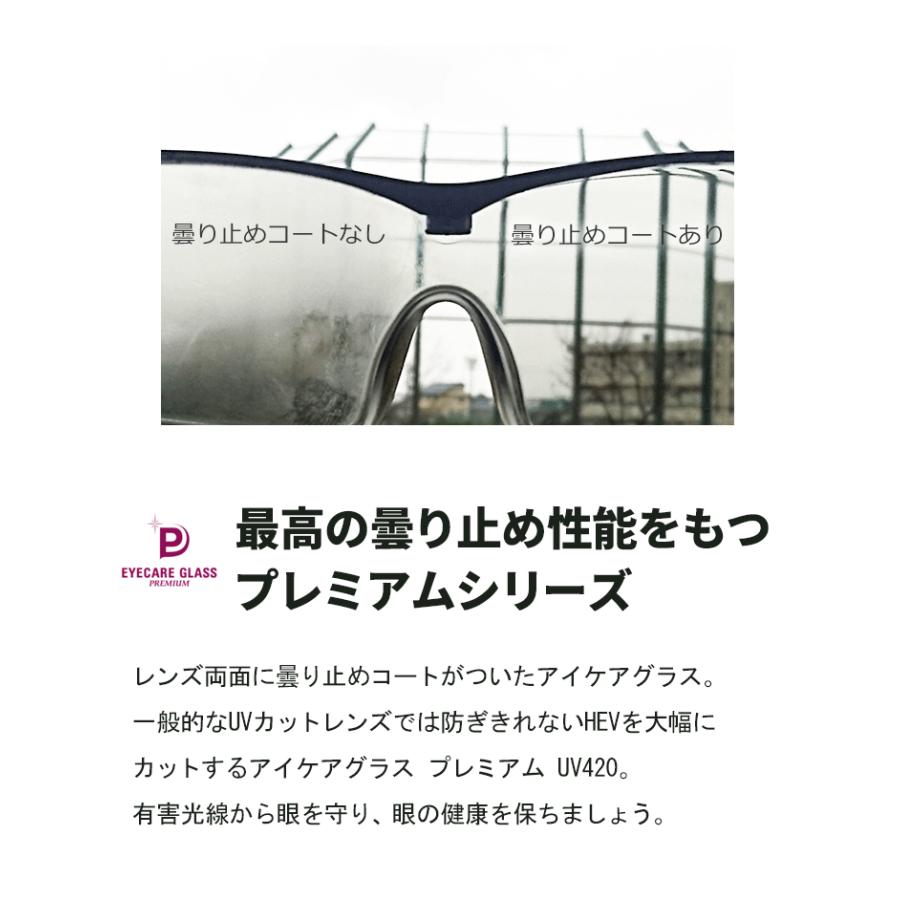 Lサイズ EC-10 アイケアグラスプレミアム UV420 メガネの上から着用