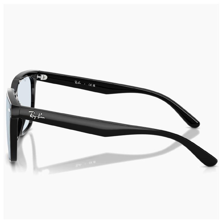 Ray-Ban（レイバン） 大きめ サングラス rb4466d 601/72 Ray-Ban 60172