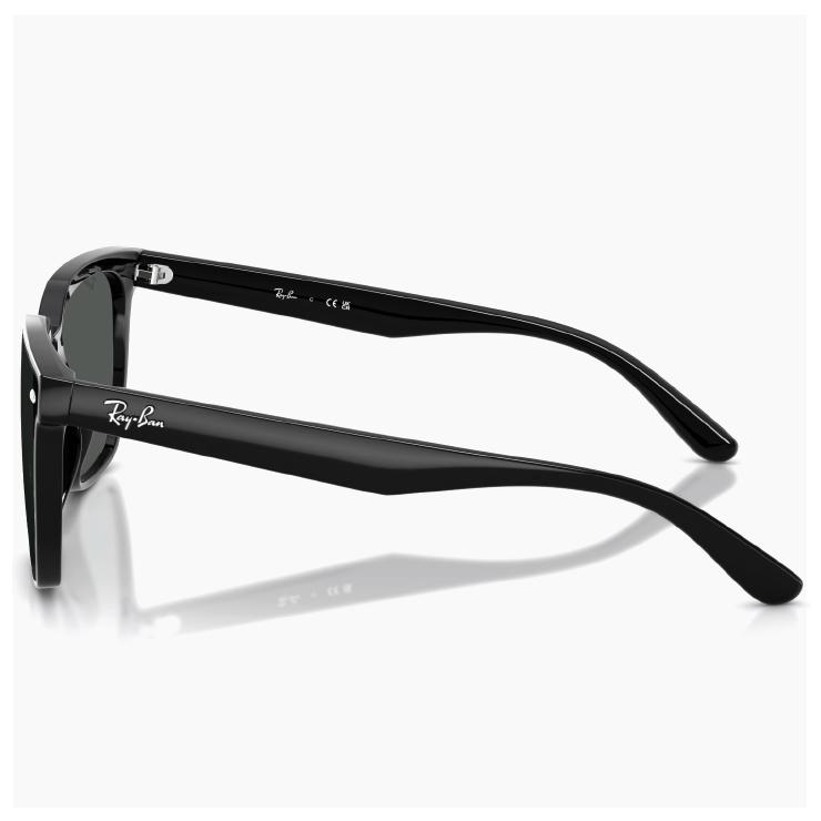 Ray-Ban（レイバン） 大きめ サングラス rb4466d 601/87 Ray-Ban 60187