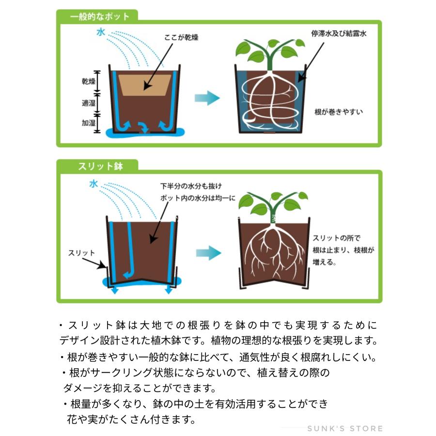 植木鉢 スリット鉢 おしゃれ  5号 6号 サイズ 白 茶 ロング 大型 プラスチック｜sunks-store｜08