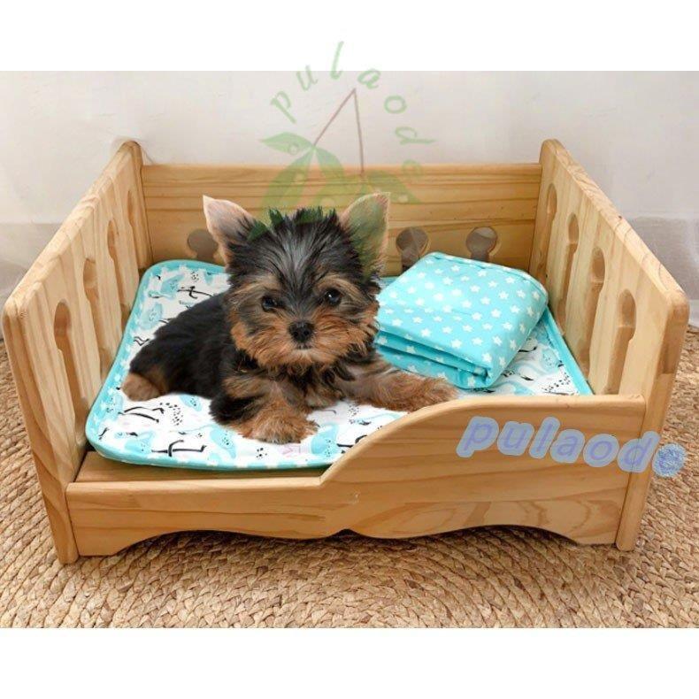ペット用マット 春夏 ペットベッド ペットクッション 犬 透気 ドッグ 62 Off 洗える 室内 春夏用 小中型犬 シンプル 大型犬 おしゃれ