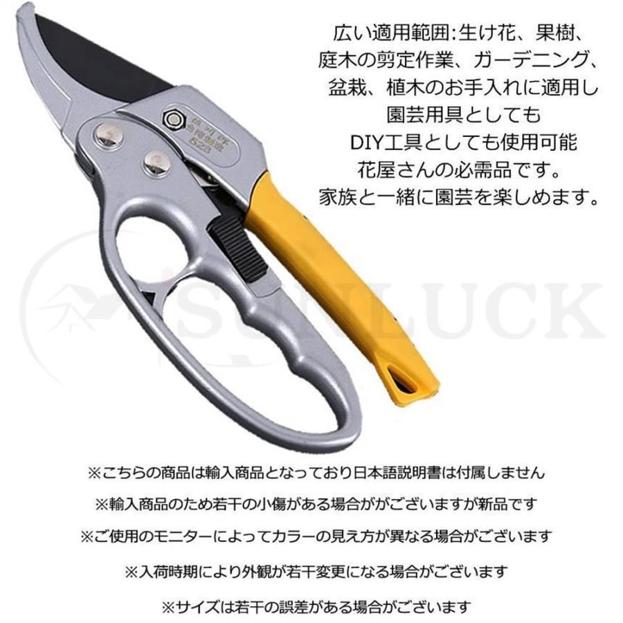 園芸用はさみ 剪定鋏 剪定ばさみ 植木 果樹 盆栽 庭木の剪定 ステンレス 花きりバサミ 摘果 鋏果樹 庭園作業 ロック機能付き Diy 庭 業務 産業用 農業用 農具 Luckp サンラック 通販 Yahoo ショッピング