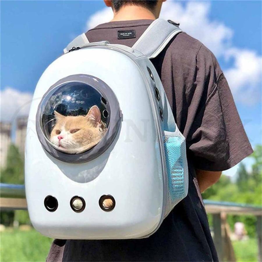 猫 キャリーバッグ ペットキャリー リュック型 透明 可愛い 宇宙船カプセル型 ペットバッグ ペット鞄 ウサギ 小動物 超小型犬 Luckqxqsga290d サンラック 通販 Yahoo ショッピング