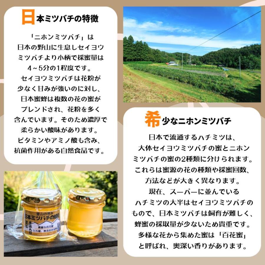 3個セット 日本ミツバチ 国産はちみつ 送料無料 数量限定 宮城県産 無